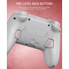 [Luminous Pattern] FUNLAB Firefly Switch Pro Controller Wireless with 7