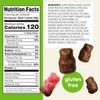 Snak Club Snak Club Tajin Chocolatey Gummy Bears, Assorted Chocolate