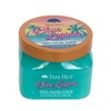 Blue Lagoon - Tree Hut Shea Sugar Scrub - 510g