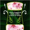 Repuestos Para Aromatizante De Ambiente Continuo, Aroma Magnolia & Cherry