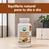 Curcuma Jengibre Vitamina Suplemento Pasiguaro