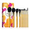 Eigshow Makeup Brushes Set, 10 Pieces Makeup Brushes, Premium Nano
