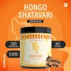 Hongo Shatavari Adaptógenos 120 Cápsulas Suplemento Natural Apoya Sistema Reproductivo