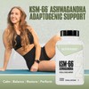 NutraBio Ashwagandha KSM-66 | Ashwaganda Herbal Supplement for Stress, Mood,
