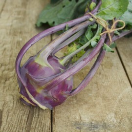 Early Purple Vienna Kohlrabi - 150 Seeds