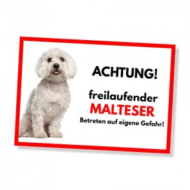 Maltese Freilaufender Dog Sign with Saying Door Sign Dog Sign Warning Sign