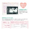 [Childcare Diary] Childcare Diary/Bear Close Pin A5 Baby Diary Record