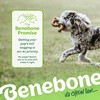 Benebone Benebone Tripe Bone Durable Dog Chew Toy for Aggressive