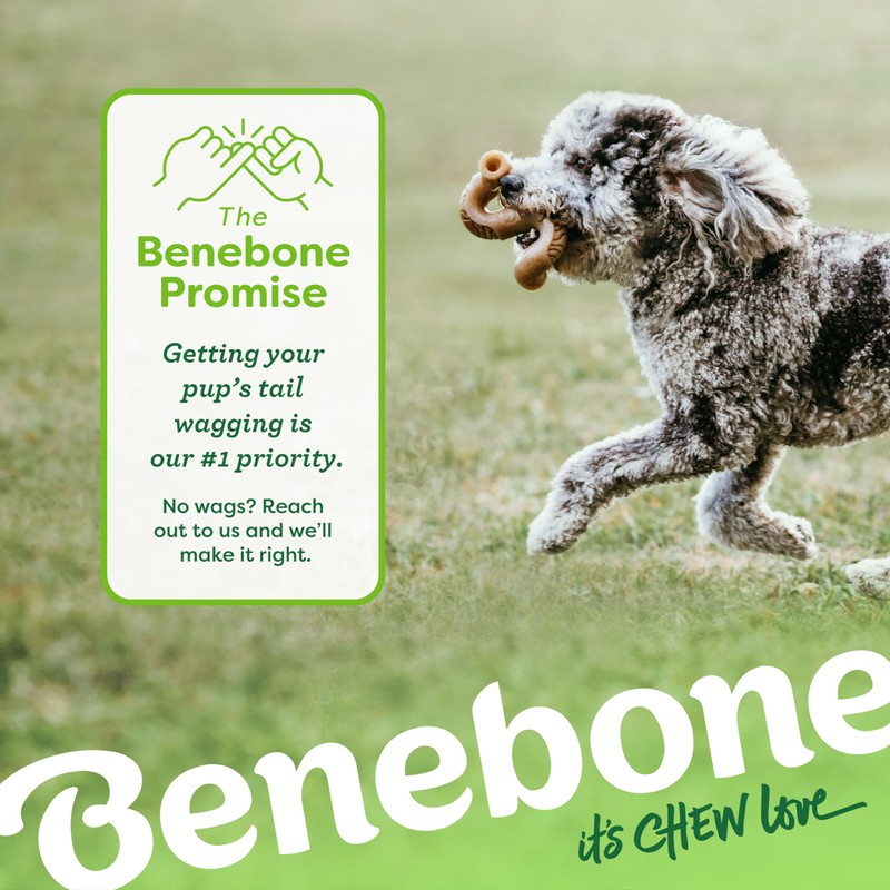 Benebone Benebone Tripe Bone Durable Dog Chew Toy for Aggressive