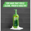 Pert 2-in-1 Complete Clean Shampoo & Conditioner, for All Hair