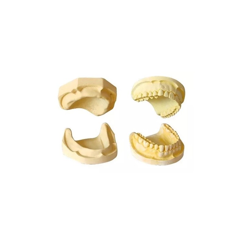 Modelo Yeso Piedra Tipo 3 Magnum Mdc Modelo Amarillo Dental