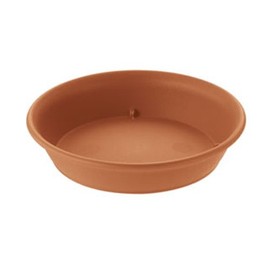 Richell Moole Plate No. 8 Brown (BR)