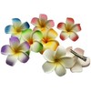 Hawaiianische Frangipani-Plumeria-Clips und Haarspangen, Schaumstoffkopf, Blume, Party, Strand, Haarschmuck, 2