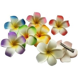 Hawaiianische Frangipani-Plumeria-Clips und Haarspangen, Schaumstoffkopf, Blume, Party, Strand, Haarschmuck, 2 Stück, 7 cm, Weiß und Rosa