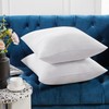 Deconovo Pillow Inserts 28x28 Set of 2, Euro Pillows for