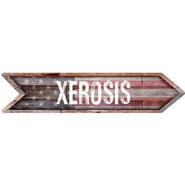 XEROSIS American Flag Wood Arrow Shaped Weathered Rustic Painted Wood Look Magnet for use on Any Steel Surface