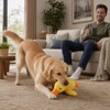 Efuwfugc 1 Count Duck Dog Toy, Duck Plush Dog Toy