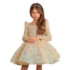 Champagne Long Flower Girl Dress for Wedding Puffy Layers 2024