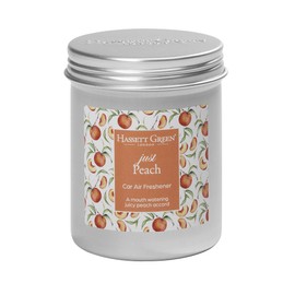 Hassett Green London Car Air Freshener & Refill Kit (Just Peach)