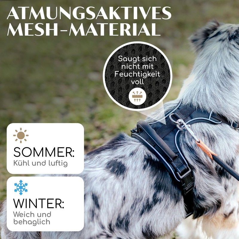 FREUDENTIER Dog Harness with Comfortable Mesh Padding, Perfect Fit without