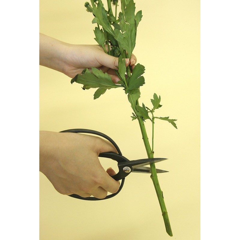 浅香工業 盆栽鋏 寛文作 192039 本体: 奥行21cm 本体: 高さ1cm 本体: 幅12cm