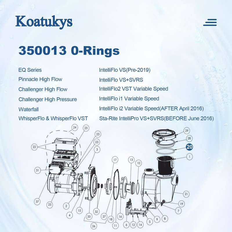 Koatukys 350013 350013Z Lid O-Ring Fit for Pentair WhisperFlo IntelliFlo