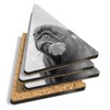 4 x Triangle Coasters - BW - Cute Pug Puppy