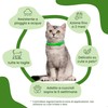 CAMON | Collare Barriera per Gatto "Olio di Neem", Rilascia