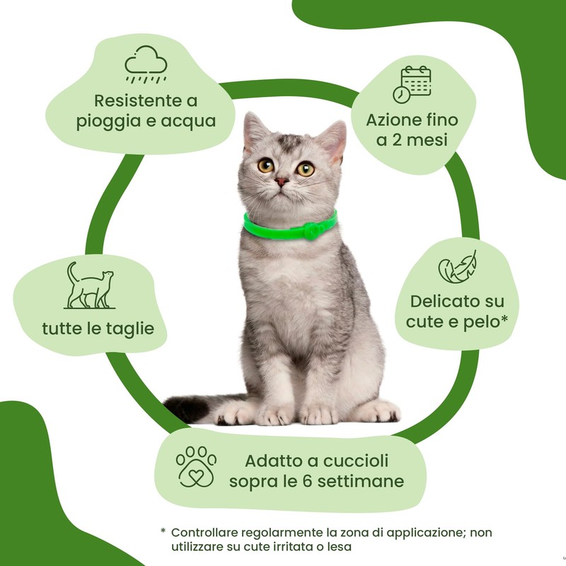 CAMON | Collare Barriera per Gatto "Olio di Neem", Rilascia