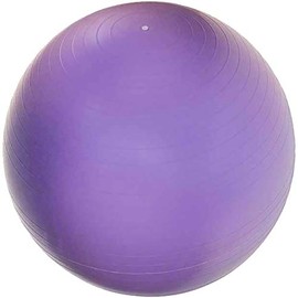 JFIT Anti-Burst Gym Ball, 65cm, Purple