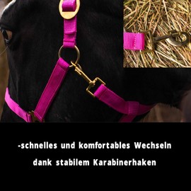 Mini Shetty Headcollar for Wooden Horse, 2-Way Adjustable Halter for Horses on Chin & Headpiece (Pink, Mini Shetty)