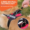 Essential Dog Harness, No Pull Pet Harness with 3 Side