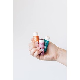 KOBOL | Kit de 3 Bálsamo Labial Hidratación Natural Vegano Push Up Elije entre Jamaica, Menta y Cítrico | Aromas y sabores extraídos directamente de la planta | Sin químicos | Saborizantes naturales de la cascara