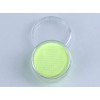 Fengda Fluo Body Paint / Face Paint Neon Pastel Yellow