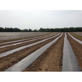 Black Eco-One OXO - Degradable Mulch Film - 4 ft. X 100 ft. - .5 Mil Thick - By Growers's Solution