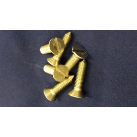 Triumph TR250-TR6 Stainless Steel  Screw Set for Convertible Top Frame.