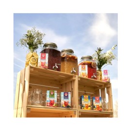 Teekanne frio Sport Fit Grapefruit Lemon + Zinc Pack of 5 (5 x 18 Tea Bags)