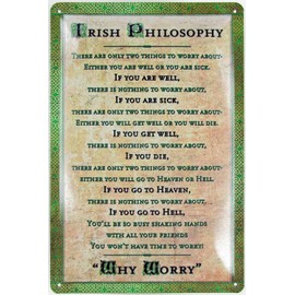 Tin Sign 20 x 30 cm Domed Irish Philosophy There is Nothing Decorative Gift Sign