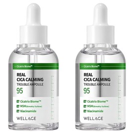 Wellage Real Cica Calming 95 Trouble Ampoule 50ml 2 pcs. 50ml x 2 pcs. / 웰라쥬 리얼 시카 카밍 95 트러블 앰플 50ml 2개 50ml x 2개