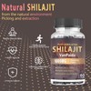 Sugar Free Shilajit Gummies, Pure Himalayan Shilajit Gummies Supplement for