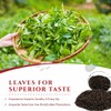 Mokhtar Tea London | Ceylon Tea | Premium Quality |