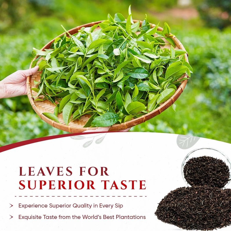 Mokhtar Tea London | Ceylon Tea | Premium Quality |
