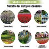 6PCS Reusable Garden Plant Cloche Plastic Dome Protective Seedling Covers