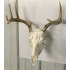 Antler Anchors European Deer Mounting System