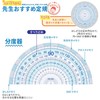 Raymei Fujii APJ907 Ruler Set, Teacher's Recommendation, Large, Transparent