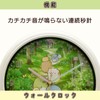 Arias WC23017SXSG-BE Sumikko Gurashi Wall Clock, Analog, Diameter 10.2 inches