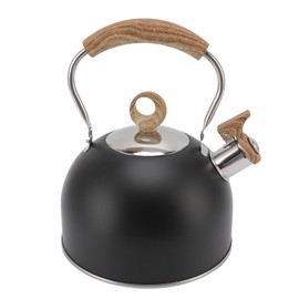 2.5 Liter Whistling Tea Kettle Stainless Steel Teapot with Handle for Electric Stove Gas Stove Black