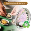 BRBASAP Large Abalone Shell Bowl 4.3-4.7 Inch Fire Safe Sage