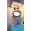 Acrylic Display Case with LED Light Top for Collectibles