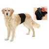Karlie 49012 Dog Nappies 40 x 10 cm Black